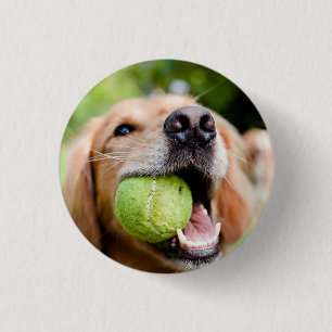 Golden Retriever With Tennis Ball 1 Inch Round Button