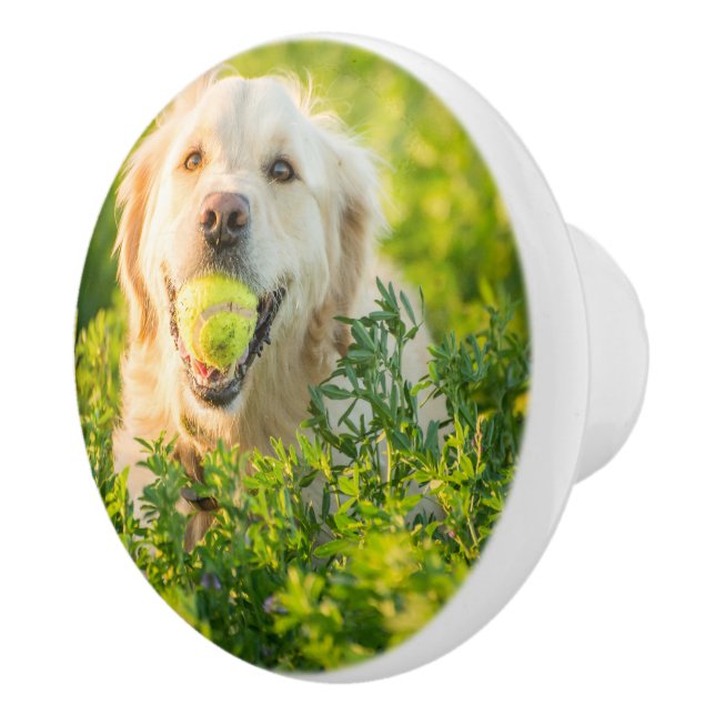 Golden Retriever with Tennis Ball Ceramic Knob (Right)