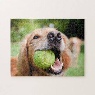 Golden Retriever With Tennis Ball Jigsaw Puzzle