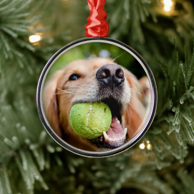 Golden Retriever With Tennis Ball Metal Ornament (Tree)