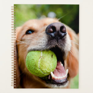 Golden Retriever With Tennis Ball Planner