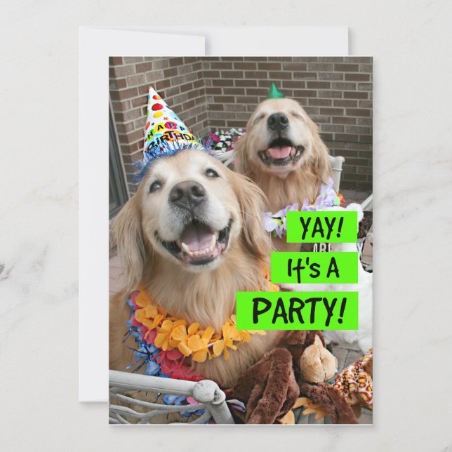 Golden Retriever Yay It's A Party Invitation (Front)