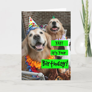 Golden Retriever Yay It's Your Birthday Card