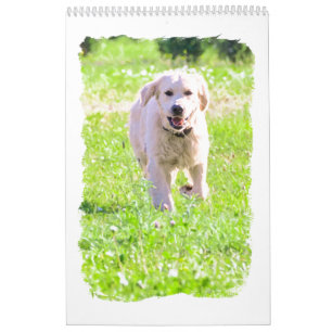 Golden retrievers calendar