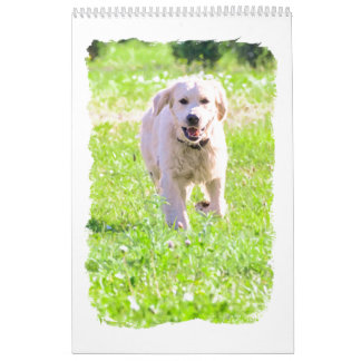 Golden retrievers calendar