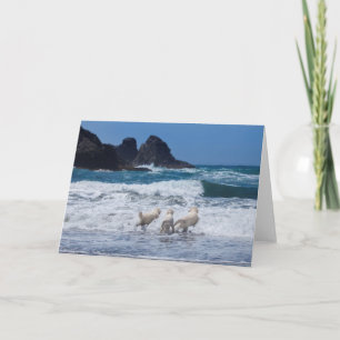 Golden Retrievers Greeting Card