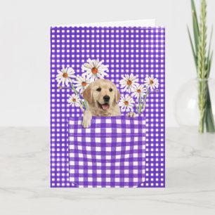 Golden Retrievers In Gingham Pocket Card