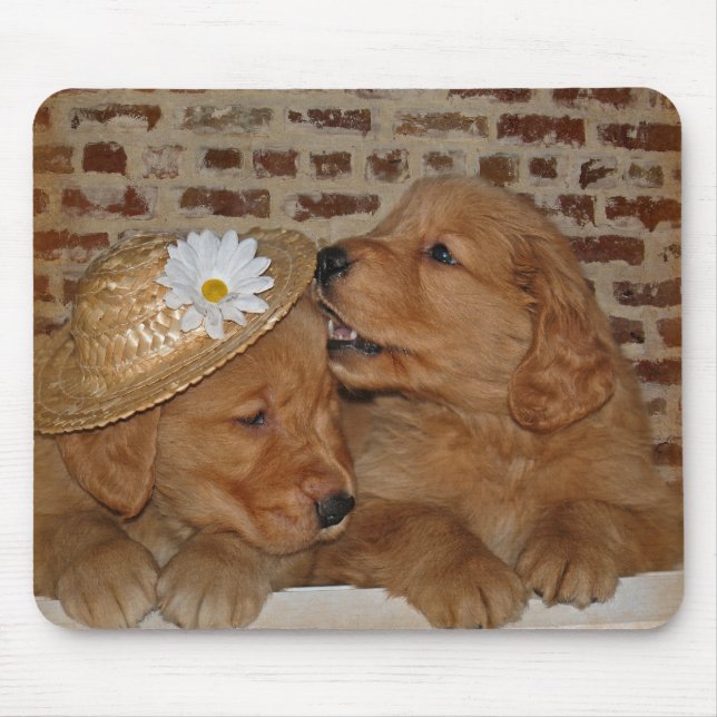 Golden Retrievers Mouse Pad (Front)