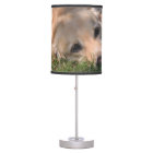 Golden Retriver Resting in the Grass Photo