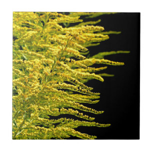 Golden rod gold diamond tile