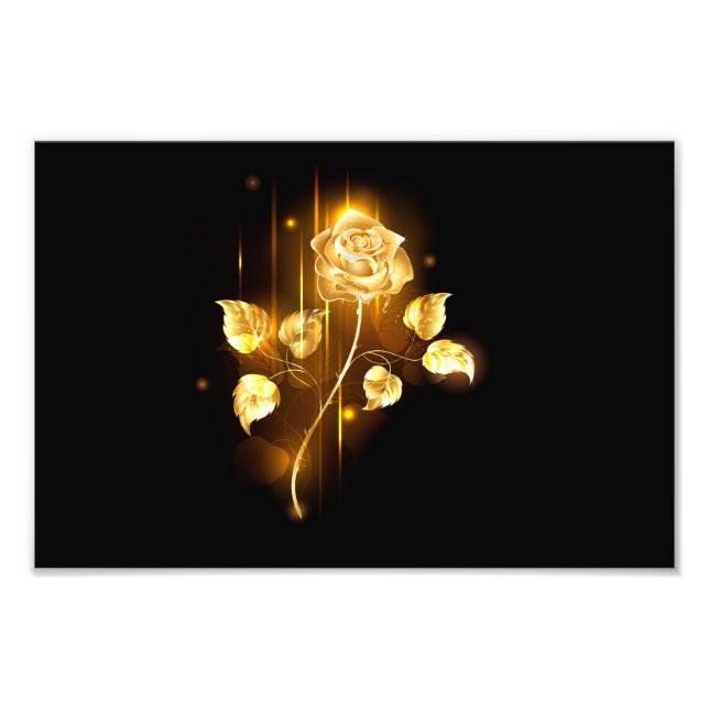 Golden rose ( gold rose ) photo print (Front)