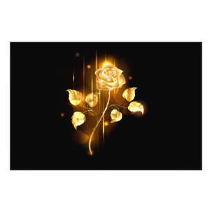 Golden rose ( gold rose ) photo print