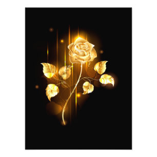 Golden rose ( gold rose ) photo print