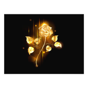 Golden rose ( gold rose ) photo print
