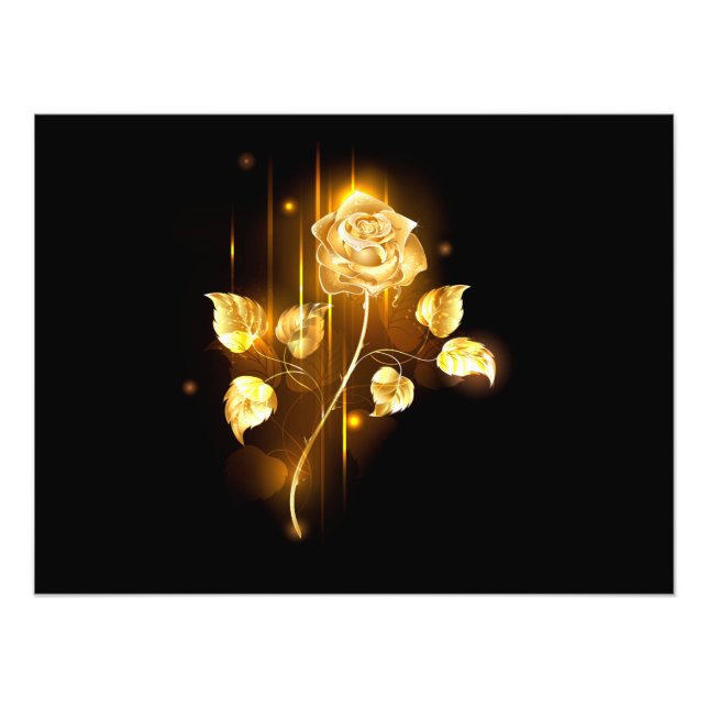 Golden rose ( gold rose ) photo print (Front)