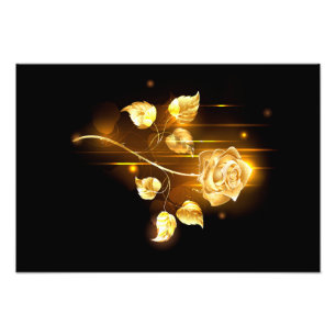 Golden rose ( gold rose ) photo print