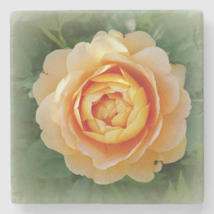 Golden rose stone coaster