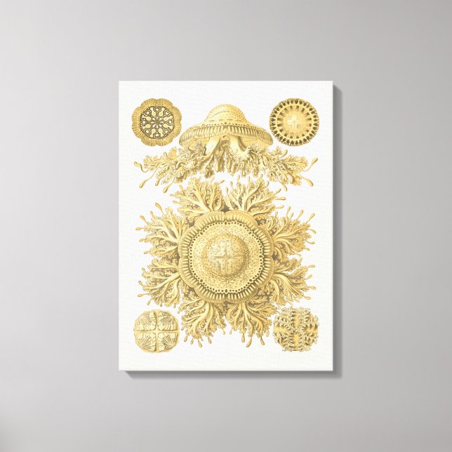 Golden Sea Creatures Canvas Print (Front)