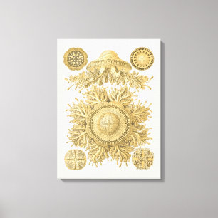 Golden Sea Creatures Canvas Print