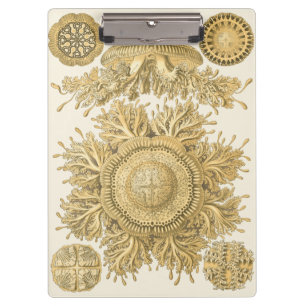 Golden Sea Creatures Clipboard