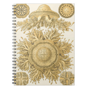Golden Sea Creatures Notebook