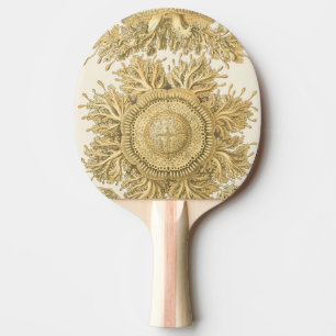 Golden Sea Creatures Ping Pong Paddle