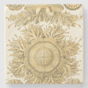 Golden Sea Creatures Stone Coaster