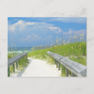 Golden Sea Oats Postcard