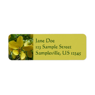 Golden Shower Tree Tropical Yellow Floral