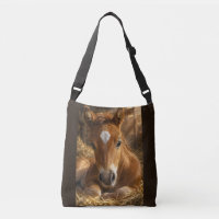 Golden Slumber gentle Foal