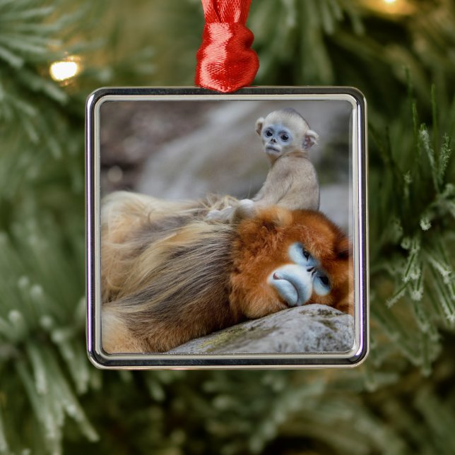 Golden Snub-nosed Monkey Dad with Baby Metal Ornament (Tree)