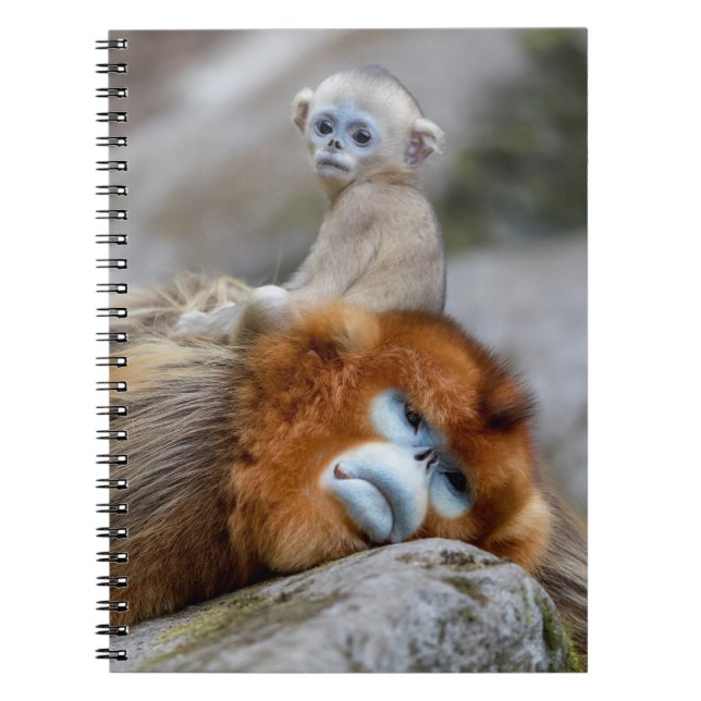 Golden Snub-nosed Monkey Dad with Baby Notebook (Front)