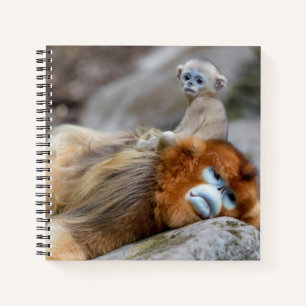 Golden Snub-nosed Monkey Dad with Baby Notebook