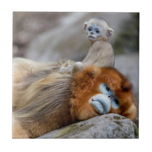 Golden Snub-nosed Monkey Dad with Baby Tile