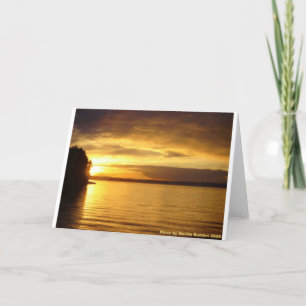 Golden Splash Notecard