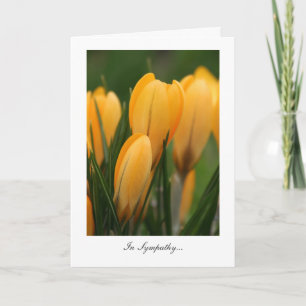 Golden Spring Crocuses - In Sympathy Card