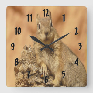 Golden Squirrel Square Wall Clock