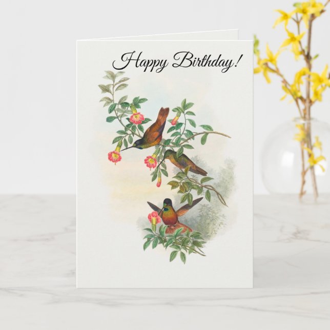 Golden Star-frontlet  Card (Yellow Flower)