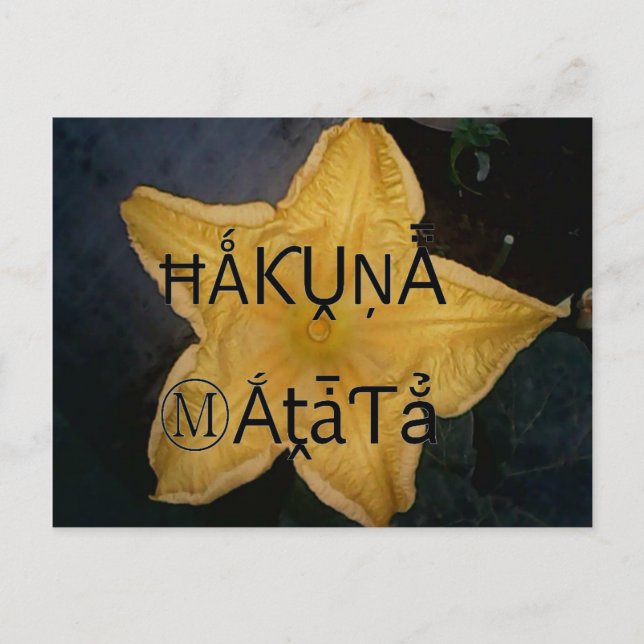 Golden Star Hakuna Matata Art Print Postcard (Front)