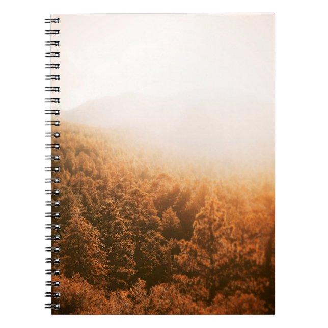 GOLDEN SUN OVER A FOREST NOTEBOOK (Front)