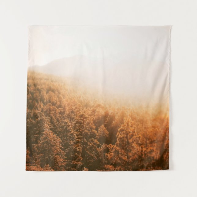 GOLDEN SUN OVER A FOREST TAPESTRY (Front)