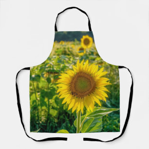 Golden Sunflower Field Apron