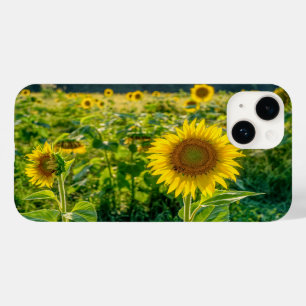 Golden Sunflower Field Case-Mate iPhone 14 Case