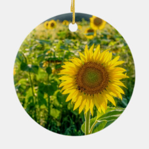 Golden Sunflower Field Ceramic Ornament