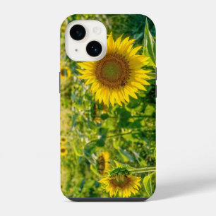 Golden Sunflower Field iPhone 14 Case