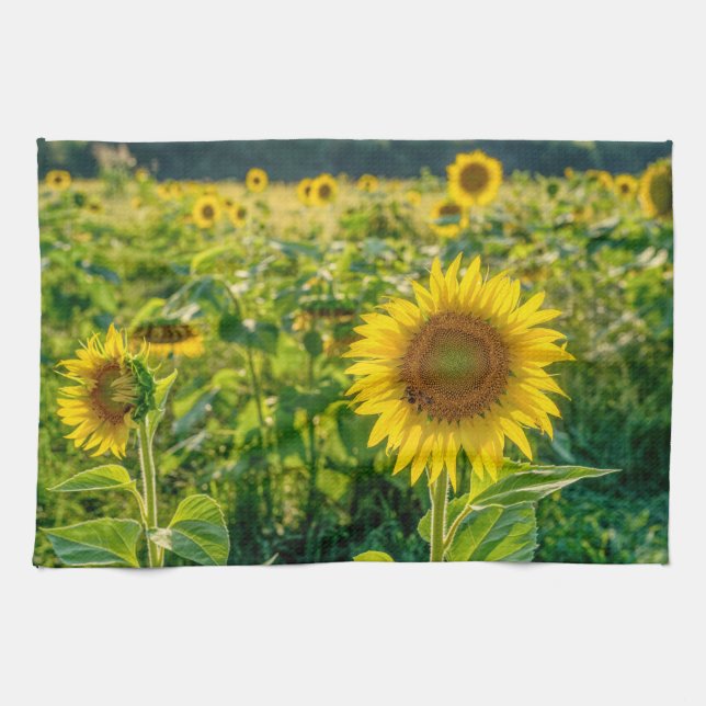 Golden Sunflower Field Kitchen Towel (Horizontal)