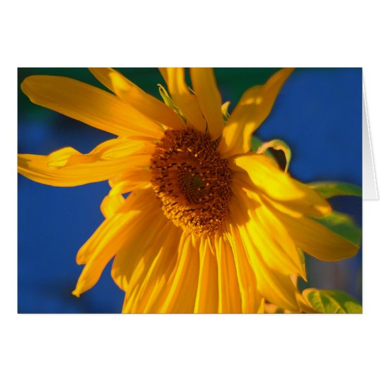 Golden Sunflower Greeting Card
