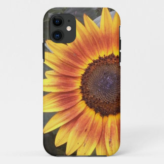 Golden Sunflower iPhone 5 case