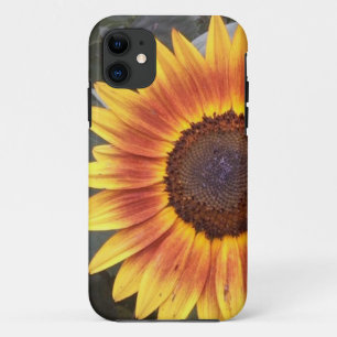Golden Sunflower iPhone 5 coque