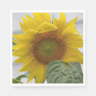 Golden Sunflower Napkin
